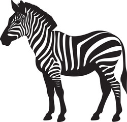Zebra Silhouette Vector Illustration White Background