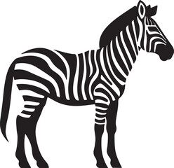 Zebra Silhouette Vector Illustration White Background