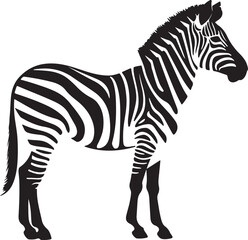 Zebra Silhouette Vector Illustration White Background