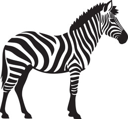 Zebra Silhouette Vector Illustration White Background