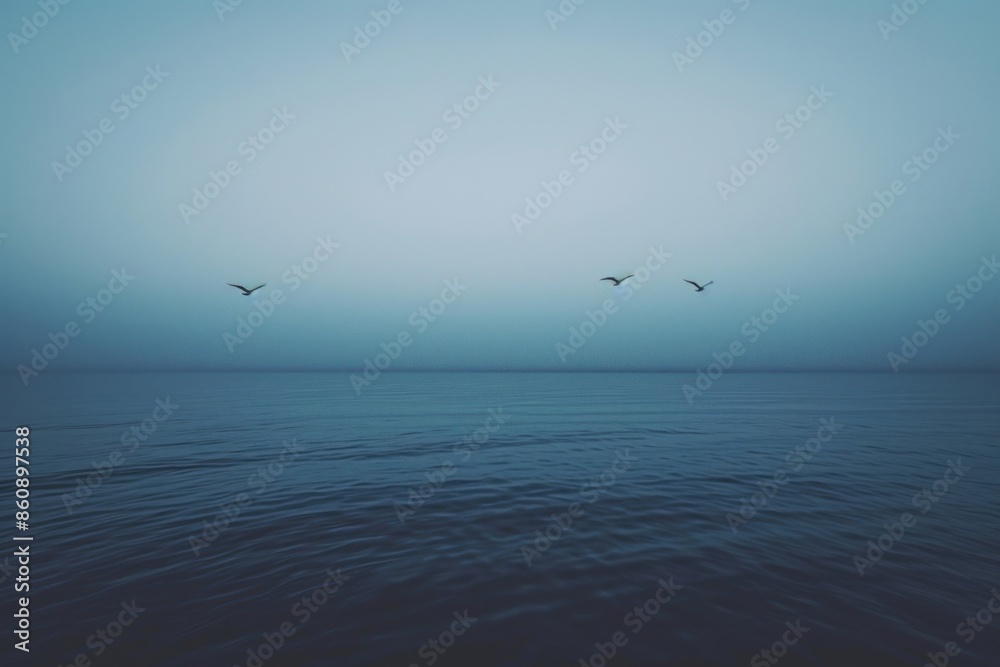 Wall mural Birds flying over the water sea outdoors horizon.