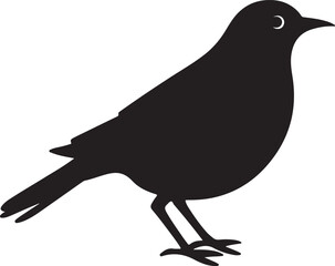 Cuckoo Silhouette Vector Illustration White Background