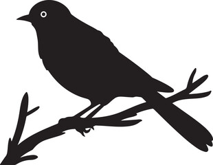 Cuckoo Silhouette Vector Illustration White Background