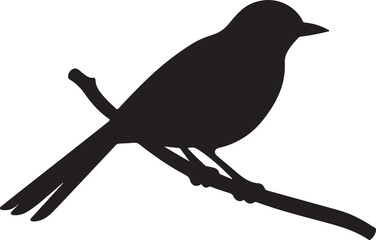 Cuckoo Silhouette Vector Illustration White Background