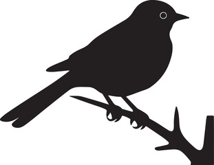 Cuckoo Silhouette Vector Illustration White Background