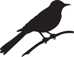 Cuckoo Silhouette Vector Illustration White Background