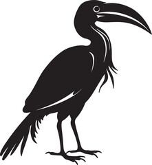 Hornbill Silhouette Vector Illustration White Background