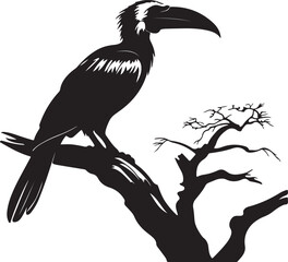 Hornbill Silhouette Vector Illustration White Background © marbledesign