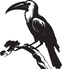 Hornbill Silhouette Vector Illustration White Background © marbledesign
