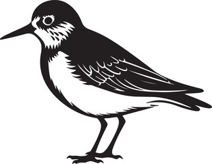 Obraz premium Sandpiper Silhouette Vector Illustration White Background