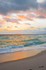 Nature of Florida. Miami background, sea vacation