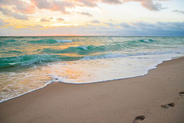 Nature of Florida. Miami background, sea vacation