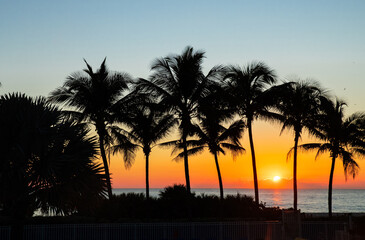 Miami, Florida. Tropical vacation spots