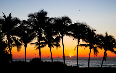Miami, Florida. Tropical vacation spots