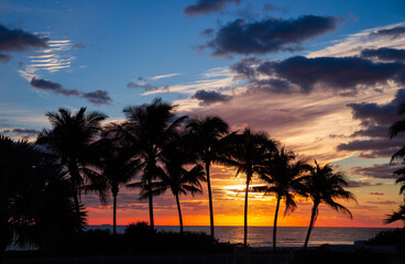 Obraz premium Miami, Florida. Tropical vacation spots