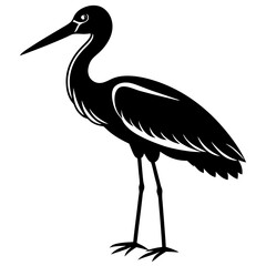 Fototapeta premium stork on the beach