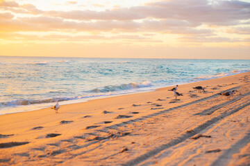 Fototapeta premium Beautiful clouds over the sea, sunrise