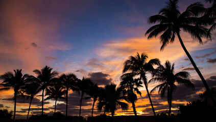Beautiful beach. Sunrise, summer