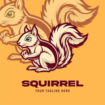 logo squirrel vector design o...