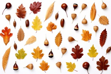 Nut backgrounds pattern leaves.