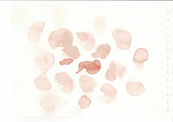 pink rose petals background