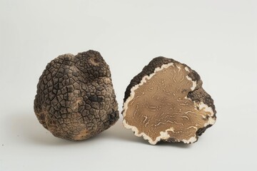 Mushroom reptile amanita animal.