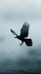 Obraz premium Raven bird award winning photography, minimalist, commercial ads photo, advertising, stunning, beautiful, centered, stock photo --ar 9:16 Job ID: bdceb5bd-9b0c-4656-b2dd-3ac6193d5dfe