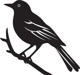 Bulbul Bird Silhouette Vector Illustration White Background