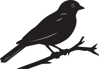 Nightjars Bird Silhouette Vector Illustration White Background