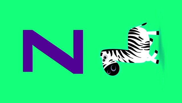 Z letter big vertical color like zebra cartoon animation. Animal loop. Educational serie with bold style character for children. Good for education movies, presentation, learning alphabet, etc...