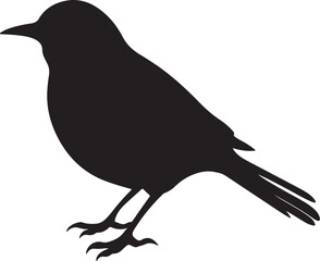 Lark Bird Silhouette Vector Illustration White Background