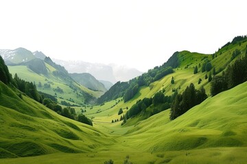 Obraz premium Valley in Switzerland landscape nature valley.