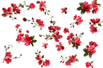 red tiny flowers isolated on transparent background