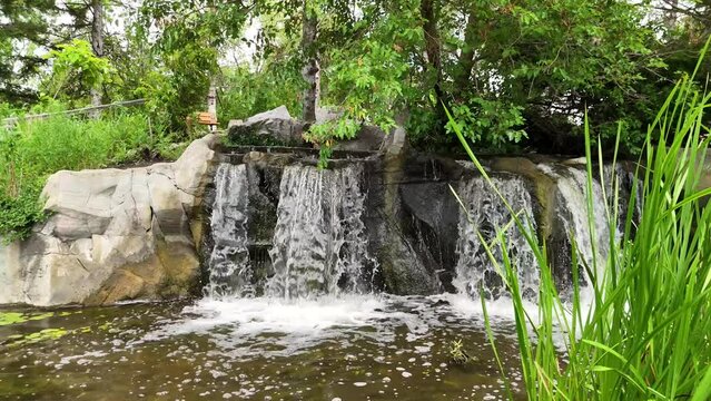 Hidden Waterfall in Lush Forest