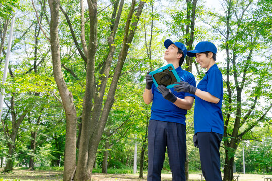 Workers researching forests using a tablet PC