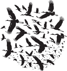 
A silhouette of flight patterns of birds black and white with white background