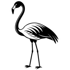 Flamingo icon silhouette vector illustration
