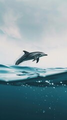 Fototapeta premium dolphin , commercial ads photo, product shot, stunning, beautiful, minimalist, award photo, centered