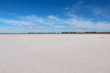 pink salt lake