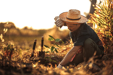 Farmers wipe sweat from their foreheads while planting mango trees.