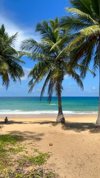 Paradise tropical beach with turquoise seas and palm trees. Turquoise ocean on a sunny summers day. Summer holidays and paradise beach concept. Karon Beach, Phuket, Thailand.