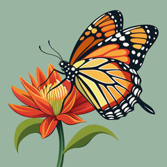 A side view vector art of a monarch butterfly resting on a flower 