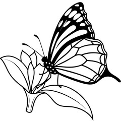 A side view line art of a monarch butterfly resting on a flower 