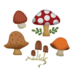 Colorful Cute Mushrooms Plants Wild Nature Cartoon Illustration Vector Clipart Sticker Decoration