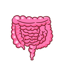 Human Small and Large Intestine Organ Cartoon. Human anatomy biology organ body system. Health care and medical  education object concept design. Hand drawn cartoon icon vector illustration