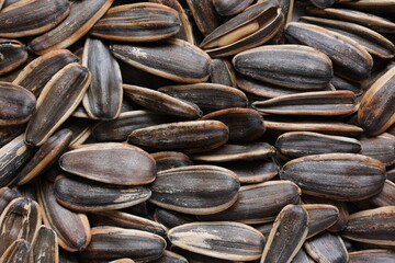 sunflower seeds background