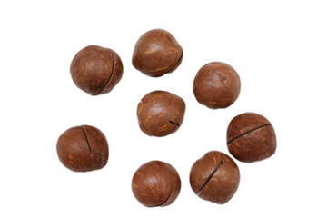 chestnuts isolated