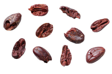 Cocoa isolated on white background