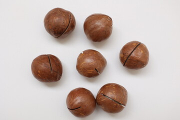 Macadamia nut 
