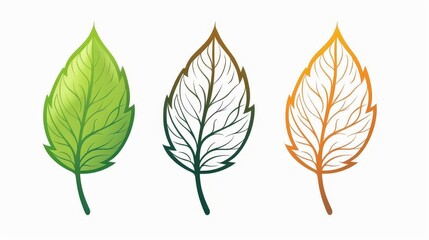 Fototapeta premium Vector leaf illustration, editable stroke, customizable colors, providing flexibility for design modifications, clean and modern